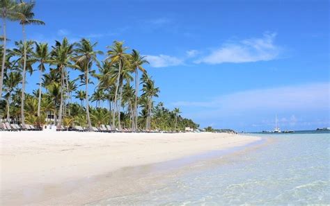 punta cana en agosto|Cómo es el tiempo en Punta Cana en Agosto